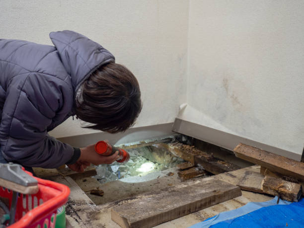 Best Water Damage & Mold Remediation  in Dewey, OK