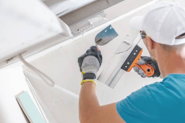 Best Mold Odor Removal Services  in Dewey, OK